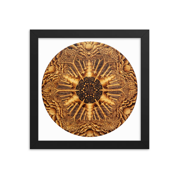 Many Paths Mandala - Framed White