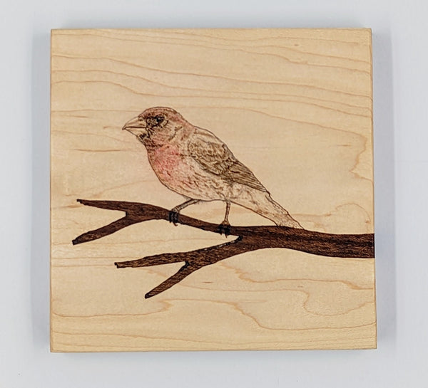 House Finch on Maple with Walnut Inlay