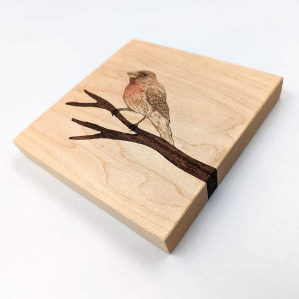 House Finch on Maple with Walnut Inlay